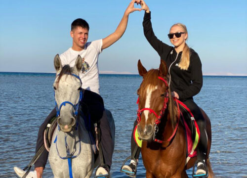 Excursion à cheval dans la mer Rouge et le désert avec baignade 1 ou 2 heures